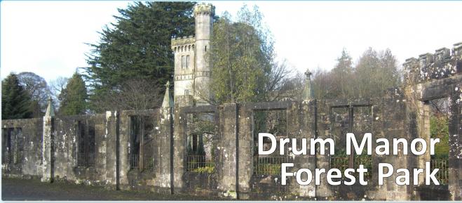 Drum Manor